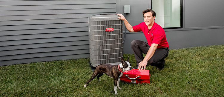 Bryant Heating and Cooling Tech with dog and heat pump unit
